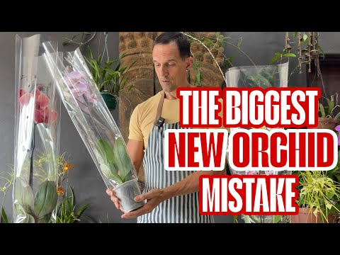 Why Are Florists Expensive? Hidden Costs Defined